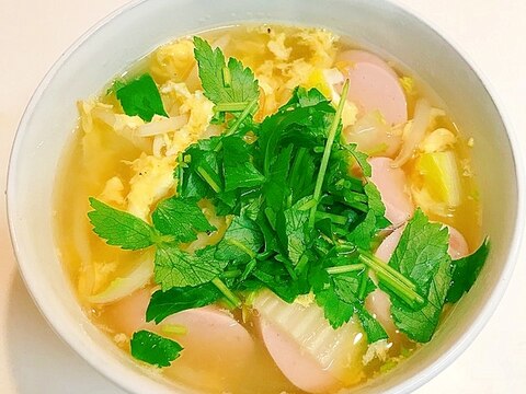おひとり様に☆白菜ともやしと魚肉ソーセージのスープ